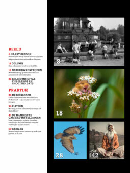 Alternative view of Shoot 61