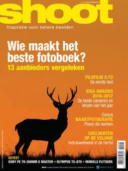 Shoot 49