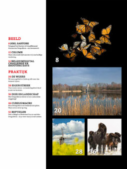Alternative view of Shoot 54 (enkel PDF)