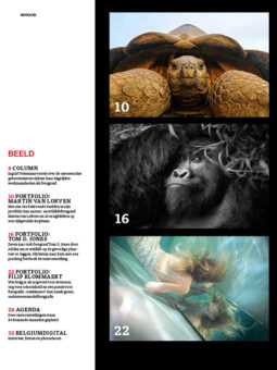 Alternative view of Shoot 107-108