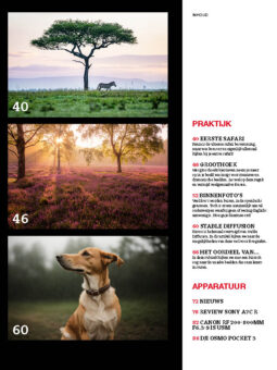 Alternative view of Shoot 109