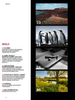 Alternative view of Shoot 111 - 112