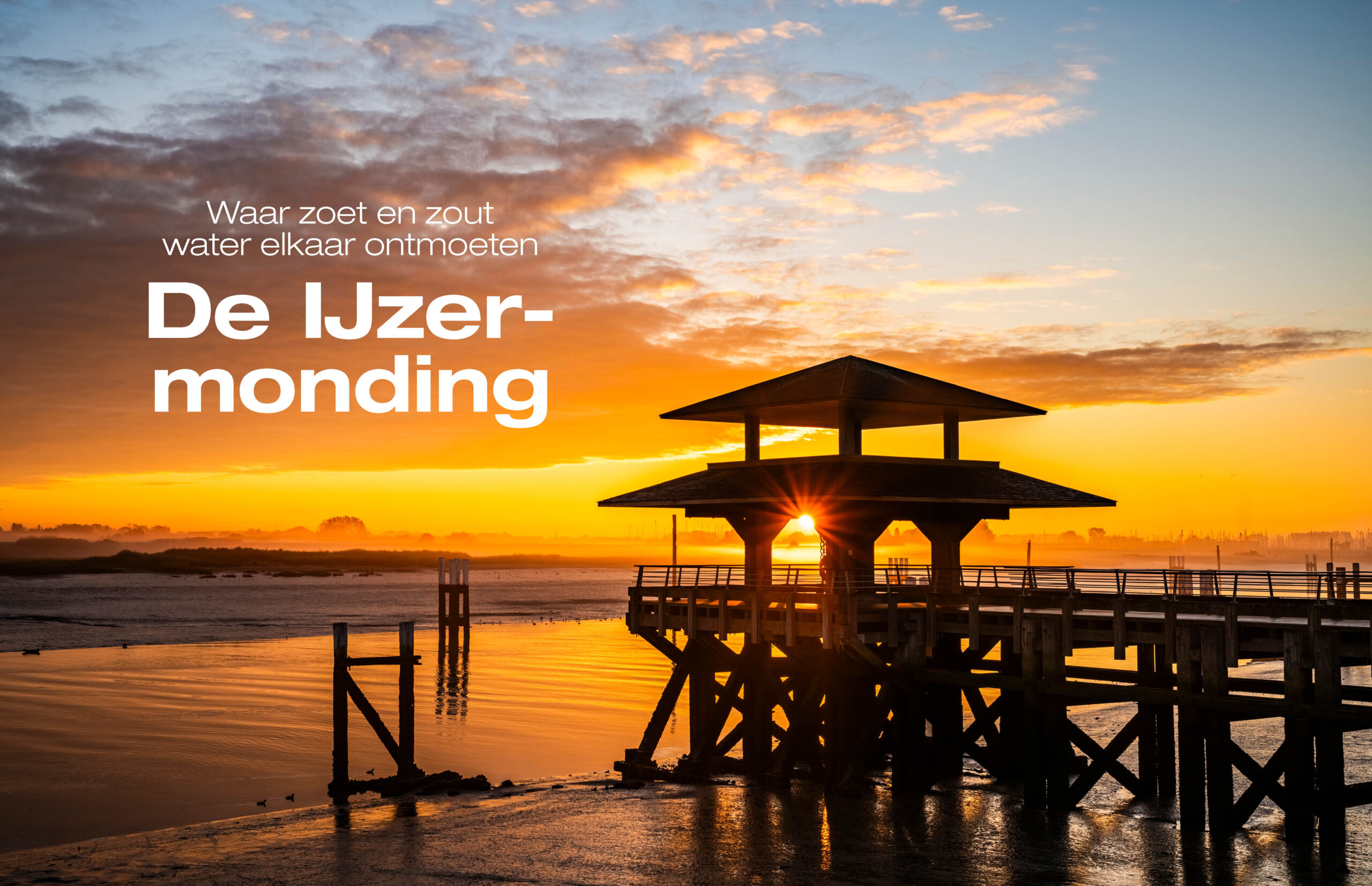 Shoot 125 - Afbeelding 7