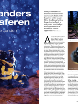 Alternative view of Shoot 126